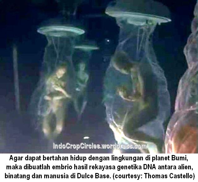 6 Spesies Alien yang Berusaha Mengontrol Bumi