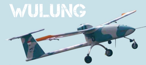 Wulung UAV: Tantangan Dibalik Sistem Kendali dan Komunikasi Data : Indonesian only