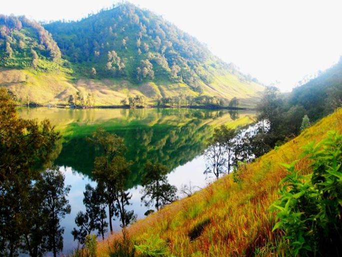 Menikmati Pesona Atap Jawa : Mahameru 3676 mdpl