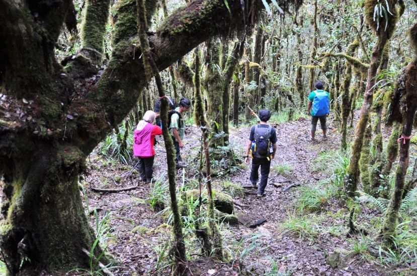 Tersesat di Gunung? Ini Yang Harus Kamu Lakukan