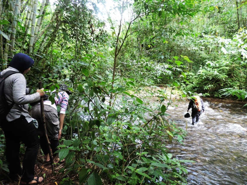 Tersesat di Gunung? Ini Yang Harus Kamu Lakukan