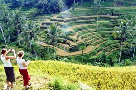 (Sistem pengairan di Bali) Subak Resmi Sandang Gelar Warisan Dunia