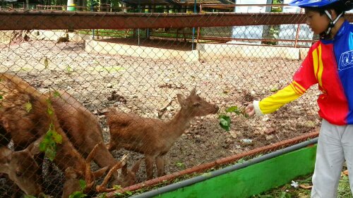 TPA Pati: TPA Sampah yang Menjadi Taman Rekreasi