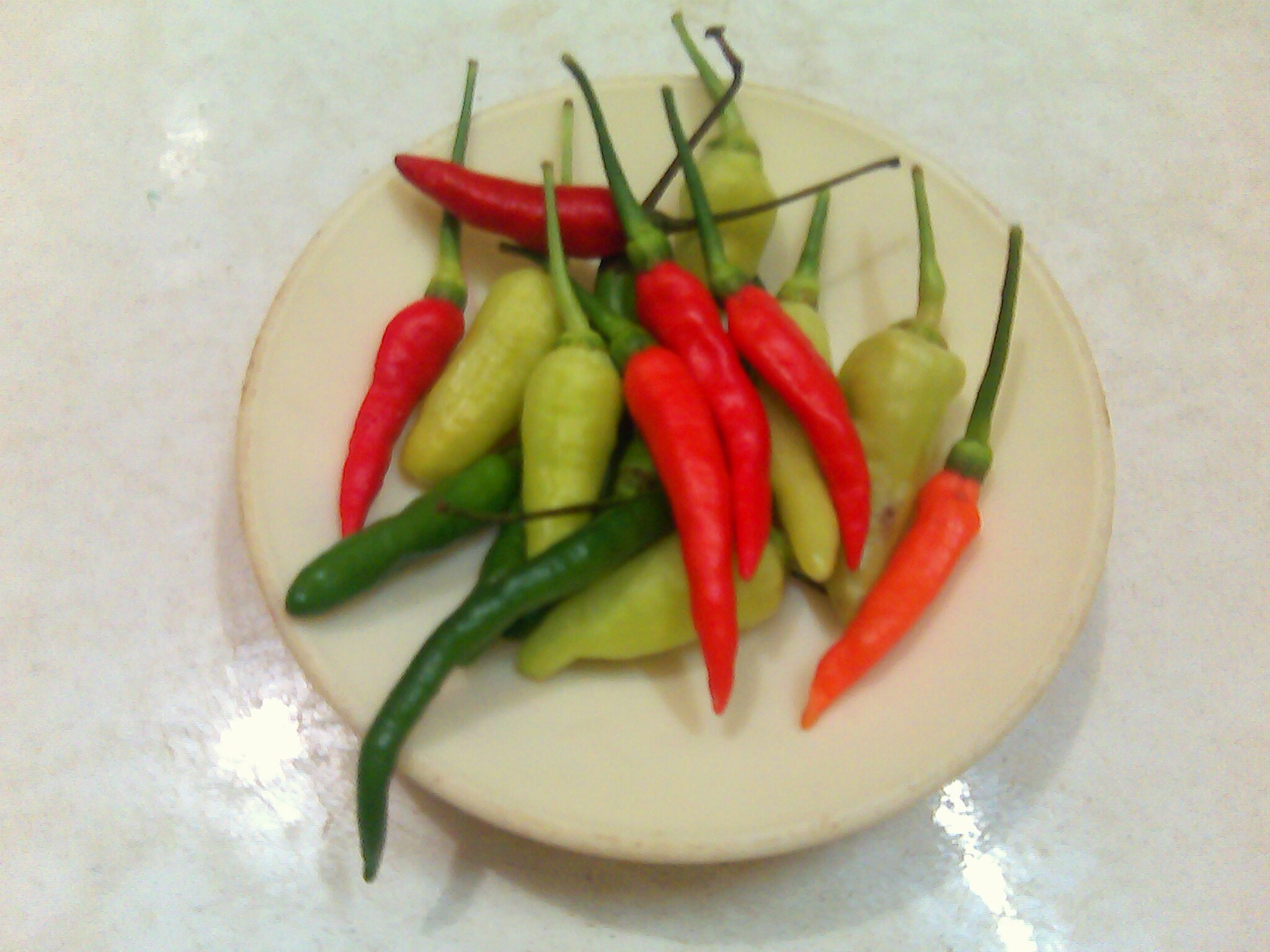 &#91;HOT++&#93; Yang Pengen **Mendesah** Masuk