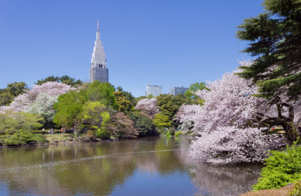 10+ Tempat Wisata di Tokyo yang Wajib Dikunjungi