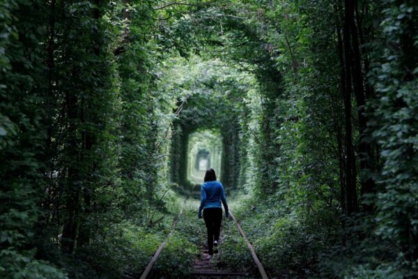 15 Tempat Wisata Terbaik di Ukraina yang Wajib Anda Kunjungi
