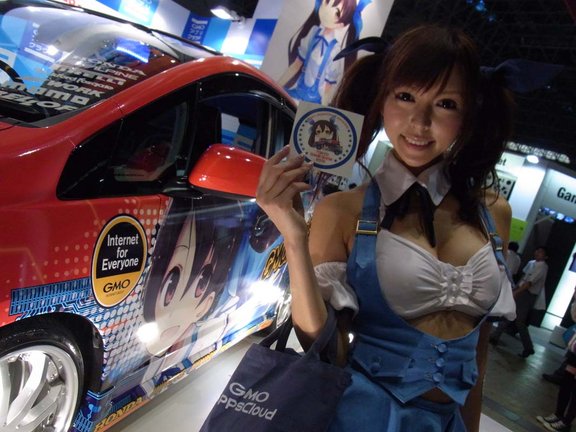 Tokyo Game Show(TGS) 2012 from Japan