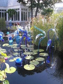 (Menakjubkan) BUKAN TANAMAN BIASA ! (Keren)