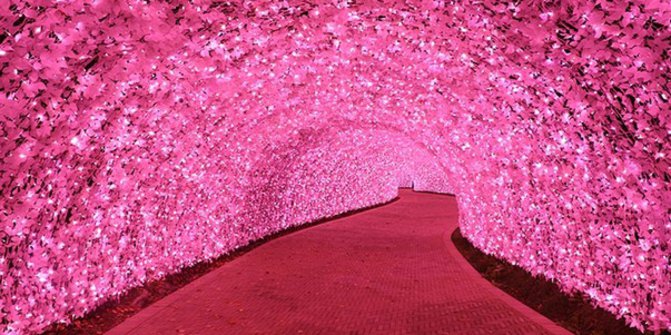 Terowongan Anti Mainstream di Jepang!! Cantik Juga Buat PreWed..