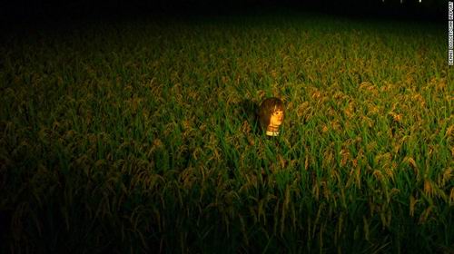 Orangan-orangan sawah di Japan