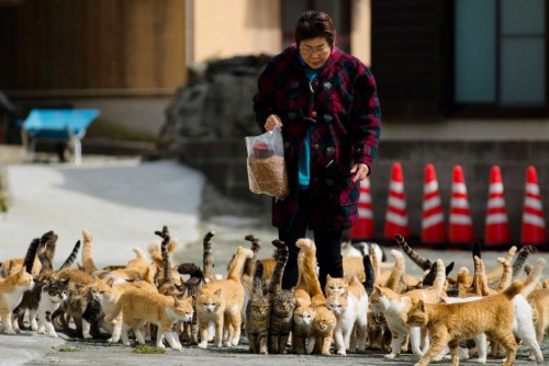  Rekomendasi! 10 Tempat &quot;Rada&quot; Ekstream dan Unik di Jepang 