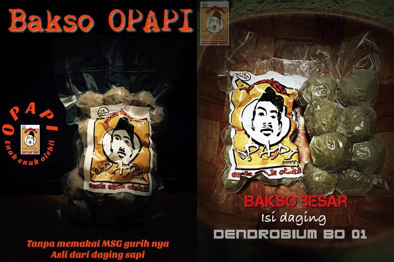Kisah Sukses Warga Indonesia Yang Belajar Bisnis Bakso di Jepang