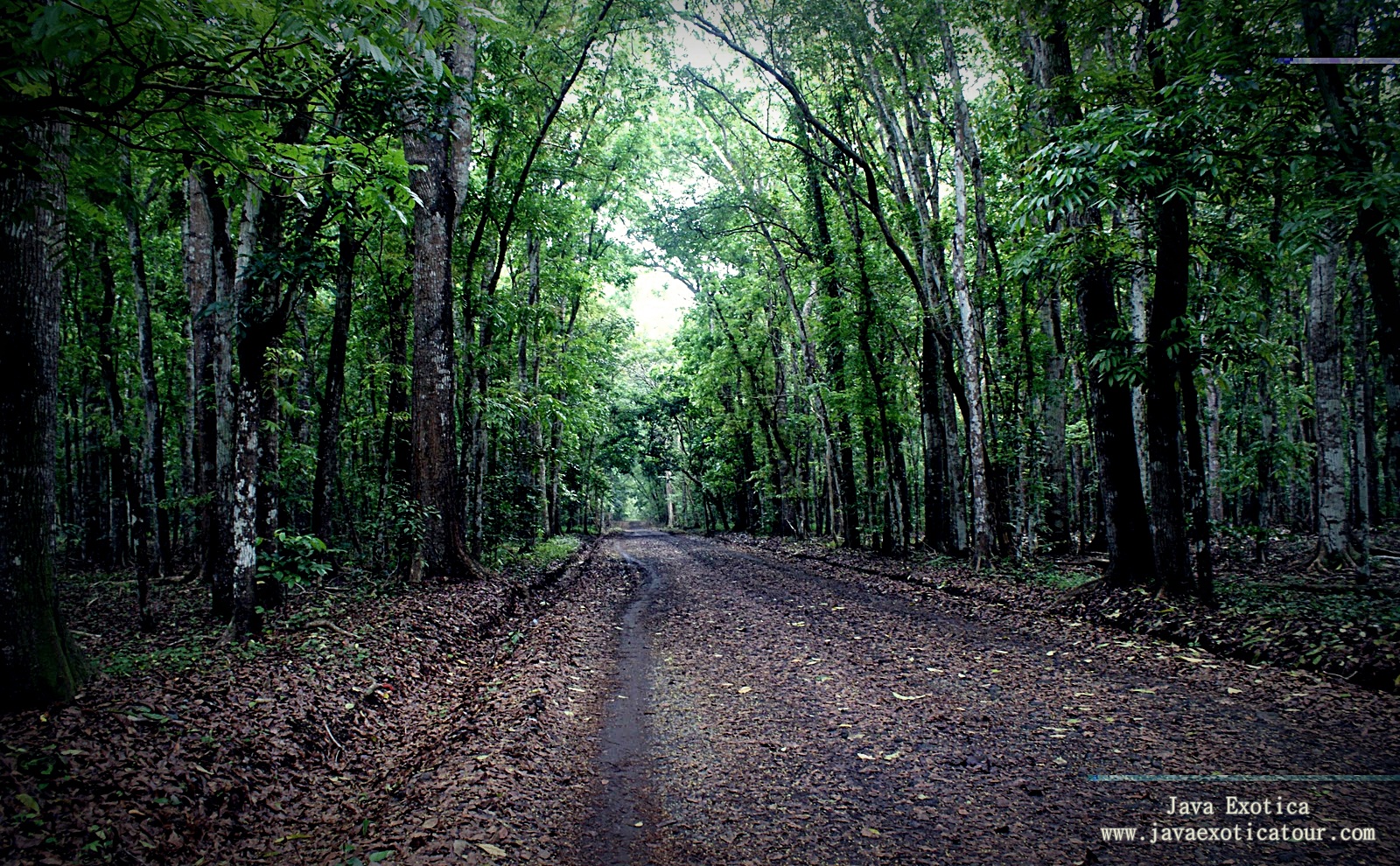 Suka Wisata Misteri gan? Coba Datang ke 8 Tempat di Indonesia Ini gan !!