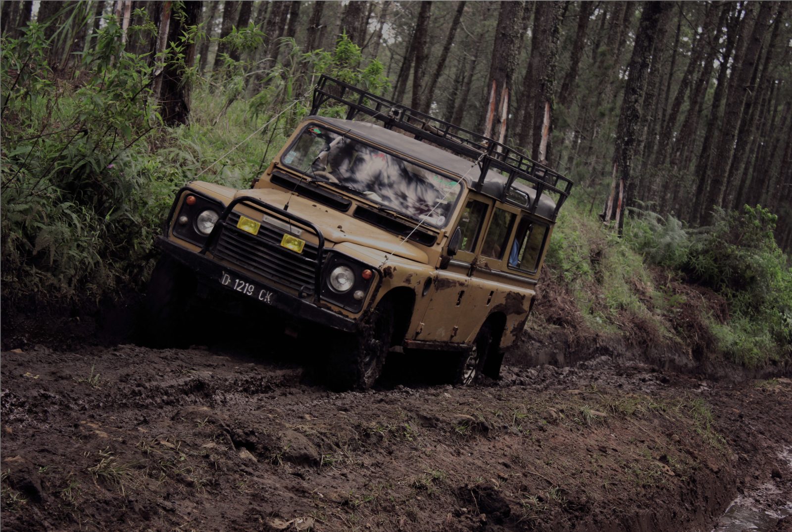 Land rover di