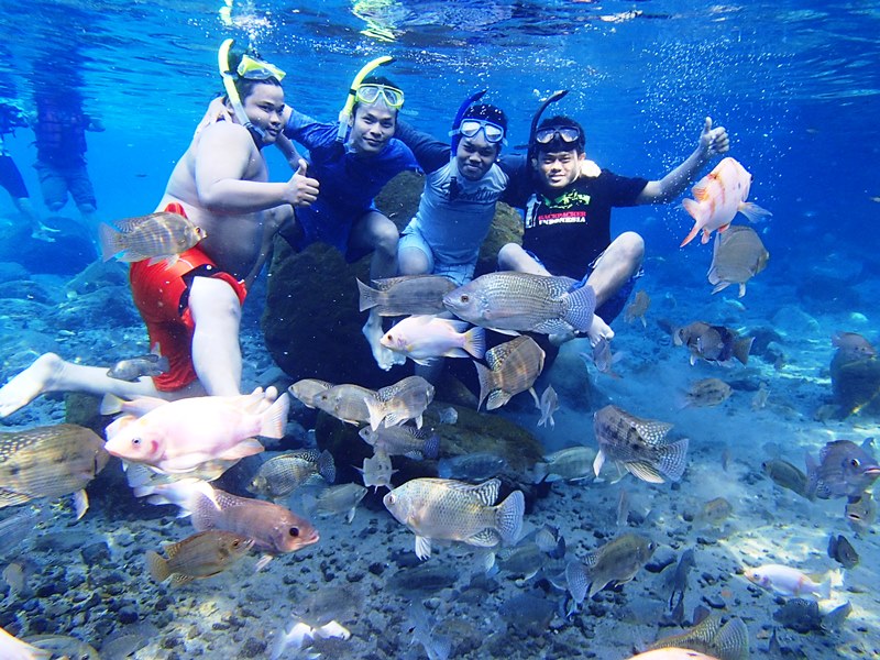 &quot;Umbul Ponggok&quot;, Pesona Wisata Bawah Laut Yang Menakjubkan