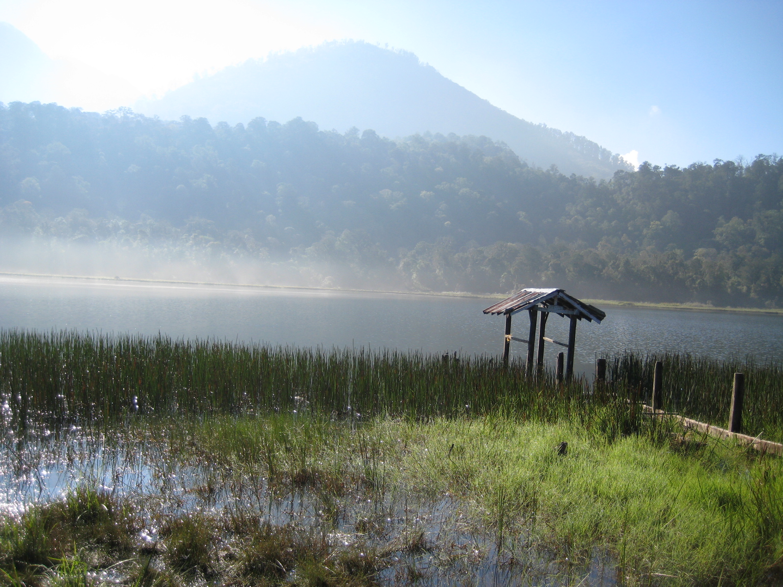 7 Puncak Gunung Tertinggi di Jawa Timur (7 Summits In East Java)