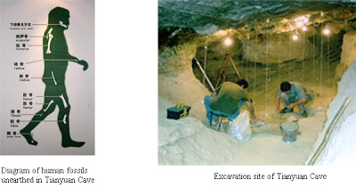 Nenek Moyang Asia dan Amerika? Asalnya dari Cina