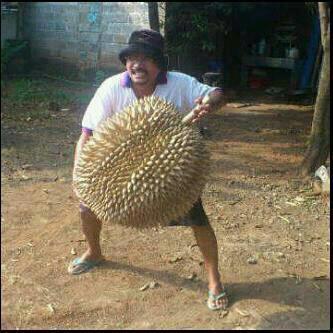 8 Tips Memilih DURIAN Yang Bagus dan Lezat