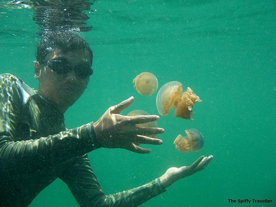 Berenang Bersama Ubur-ubur Tak Bersengat di Danau Mariona, Togean