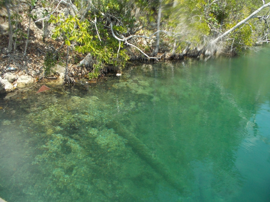 Berenang Bersama Ubur-ubur Tak Bersengat di Danau Mariona, Togean