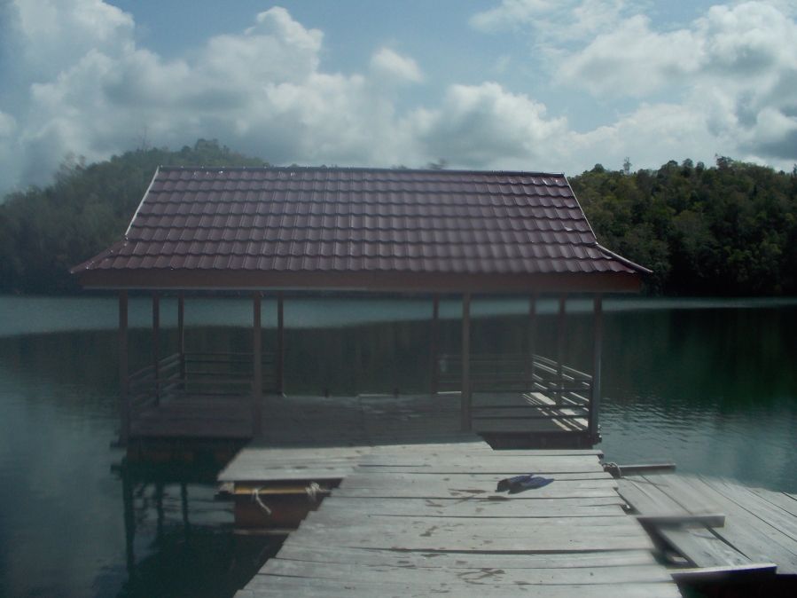 Berenang Bersama Ubur-ubur Tak Bersengat di Danau Mariona, Togean