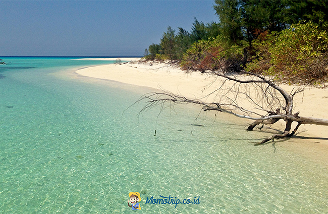 Bermain Di Pulau Terpencil, Lanjukang