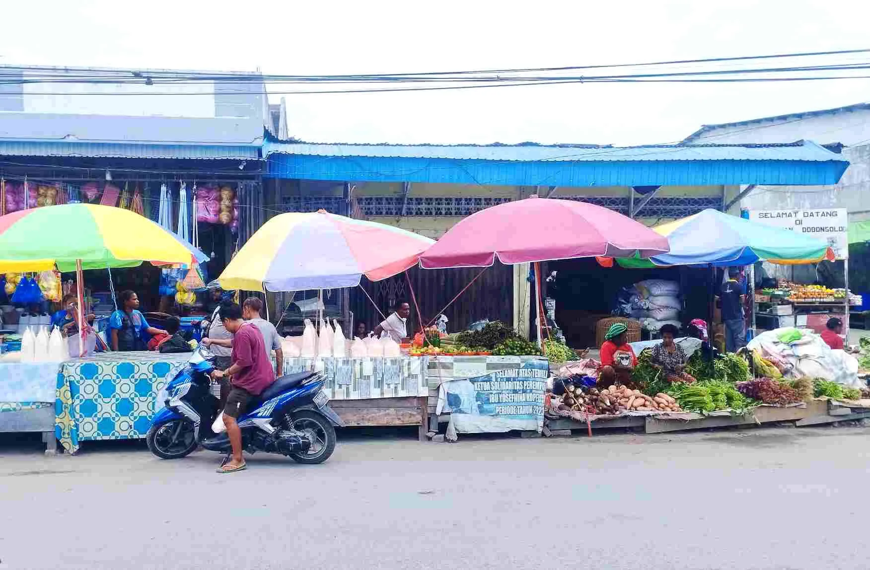 Kewenangan pusat di Papua pasca-DOB dinilai darurat HAM