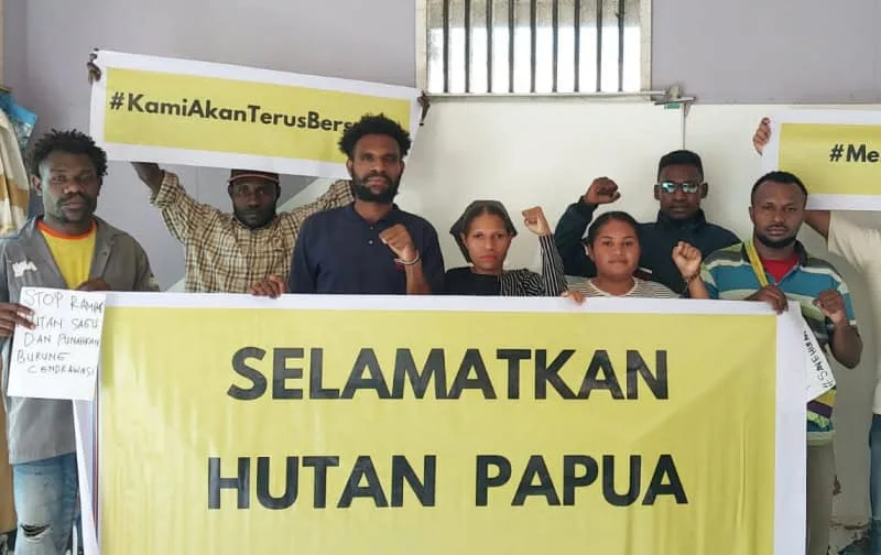 Kewenangan pusat di Papua pasca-DOB dinilai darurat HAM