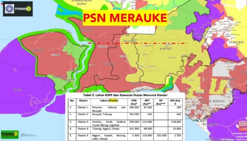Uskup Merauke dinilai tak mampu gembalakan umat Papua Selatan