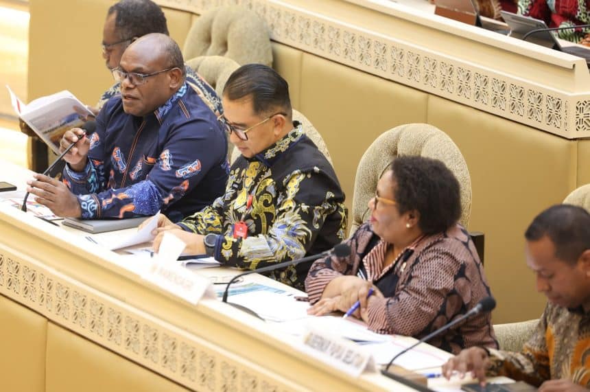 Pemangkasan dana otsus cederai kekhususan Papua