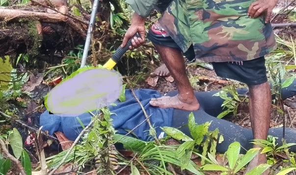 Lagi, TPNPB-OPM klaim tembak 7 intelijen di Asmat dan Korowai