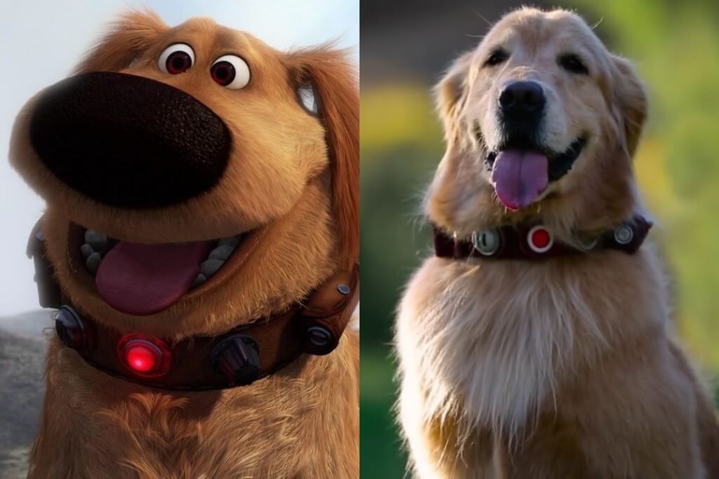 Pasti Kamu Tidak Sadar, 5 Animasi Pixar Ini Punya Detail Luar Biasa