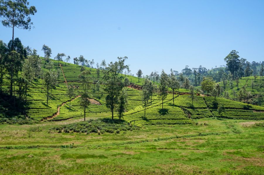 Inilah Rute Pemandangan Perjalanan Kereta Terindah, Wajib dicoba Masih di Asia!