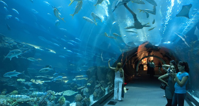 &#91;AMAZING&#93; Mengintip Dubai Mall, Mall Terbersar Di Planet Bumi. &#91;KEREN&#93;