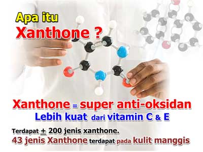 Kabar gembira untuk kita semua, kulit manggis kini ada ekstraknya!
