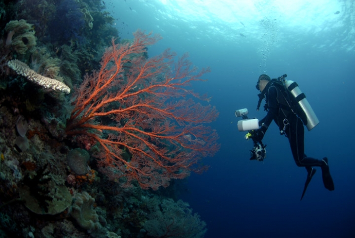 Cara Murah ke Raja Ampat!