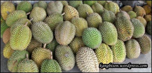 PADA SUKA DURIAN ??? MASUK