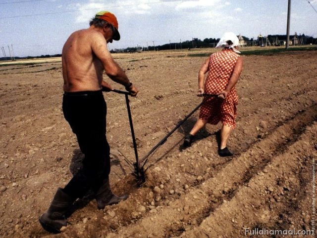 Ini Cara Bajak Sawah Paling MODERN !!!!