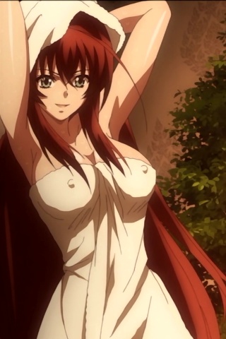 bb17-anime--ane-mau-share-anime-kesukaan-ane-high-school-dxd