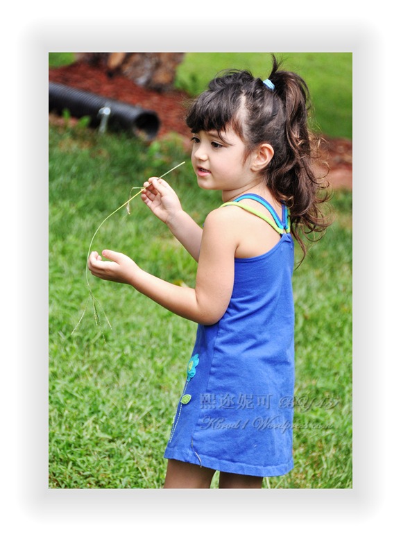 kaskus-image