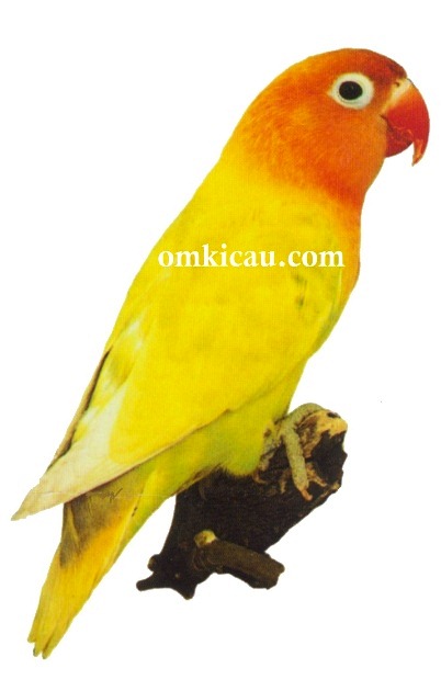 post-image