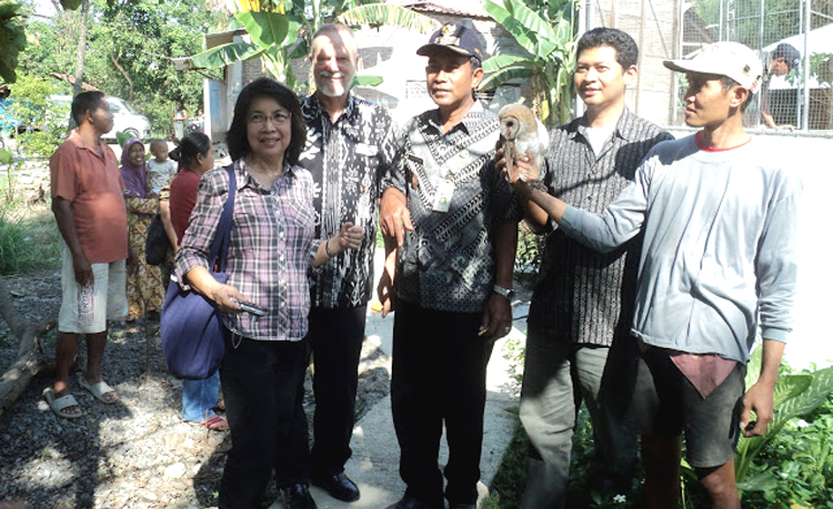 &#91;KEREN&#93; DESA PENANGKARAN BURUNG HANTU (OWL)