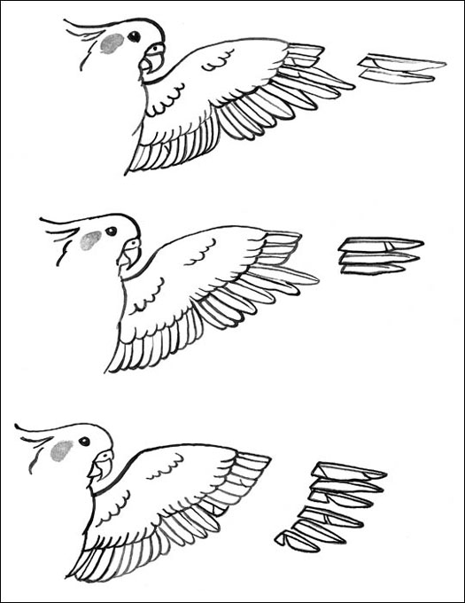 post-image