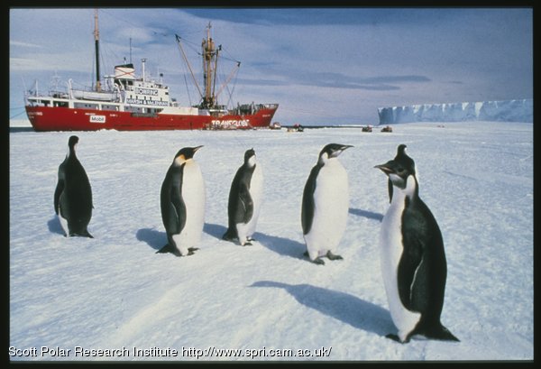 menjawab-flat-earth-101-mengungkap-kebohongan-propaganda-bumi-datar