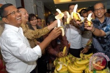 Ini Baru IPB !!! Bantal Emas Masal dari Negara Tropik