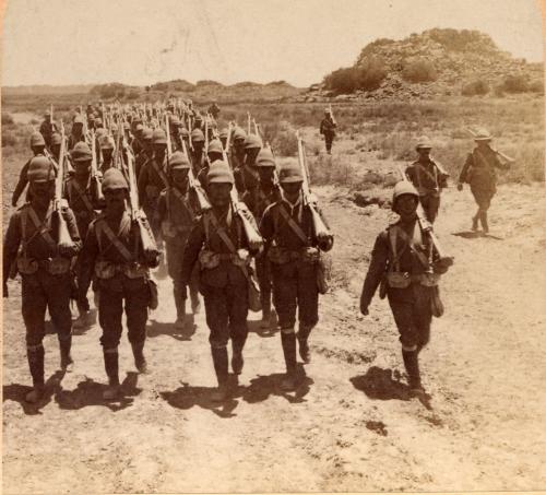 Lee-Enfield: Kisah Senapan Legendaris dari Inggris Part 1: Asal-usul dan Long Lees