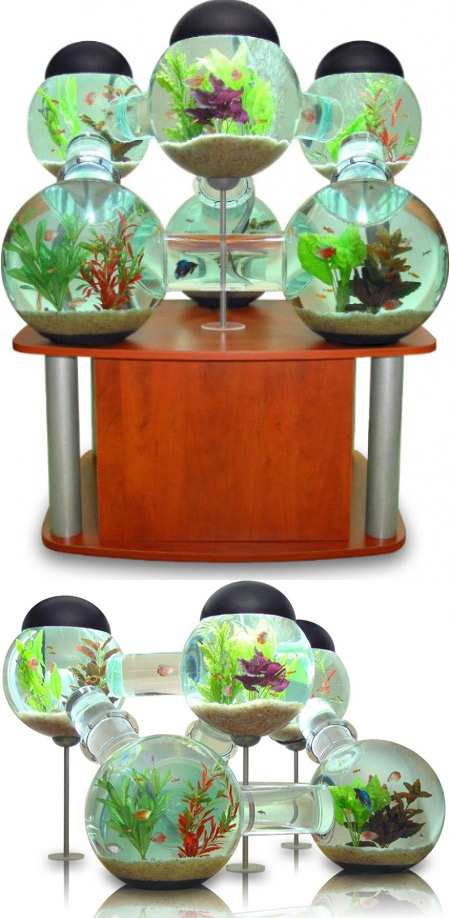 Intip Akuarium Ikan Terkeren di Dunia