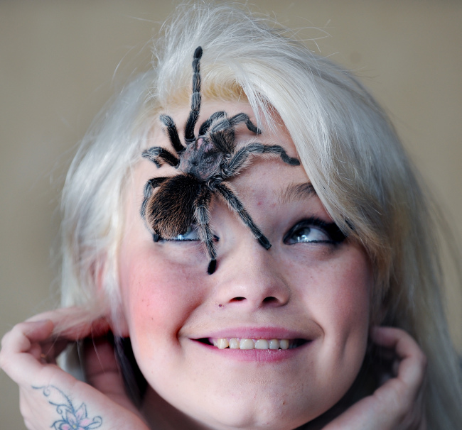 Fobia laba-laba, wanita ini malah pelihara tarantula