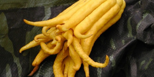 6 Buah dan sayur teraneh yang pernah ada