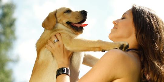 5 Anjing Termahal Di Dunia